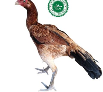 Nattu Kozhi ( Chicken – 100% Original)நாட்டு கோழி |Fresh Roster Chicken (Orignal)