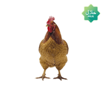 Smoky Country Chickenபண்ணை நாட்டு கோழி|Fresh Broiler Nattu Kozhi